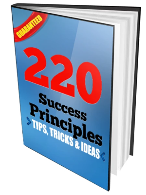 220 Success Principles Tips, Tricks and Ideas